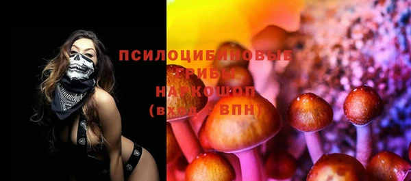 прущая мука Богородицк