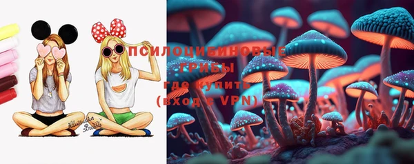 стафф Белокуриха