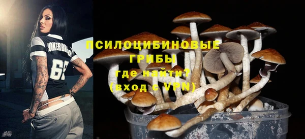 стафф Белокуриха